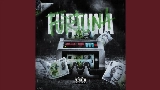 영상 썸네일 FURTUNA