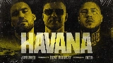 영상 썸네일 Havana