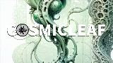 영상 썸네일 World of fungi