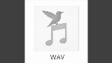 영상 썸네일 WAV