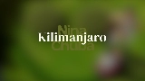 영상 썸네일 Kilimanjaro