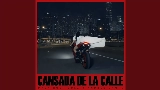 영상 썸네일 Cansada De La Calle