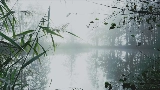 영상 썸네일 reverie