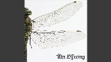 영상 썸네일 The Offering