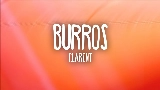 영상 썸네일 BURROS