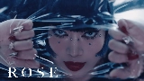 영상 썸네일 ROSE