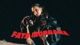 영상 썸네일 Fata Morgana