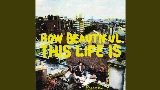 영상 썸네일 How Beautiful This Life Is