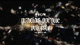 영상 썸네일 Gracias Porque Volviste (En Vivo)