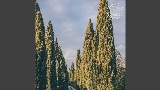 영상 썸네일 Vinho Verde