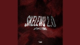 영상 썸네일 SKELEWU 2.0