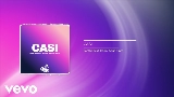 영상 썸네일 CASI