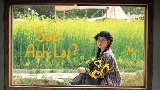 영상 썸네일 Sao Anh Lại
